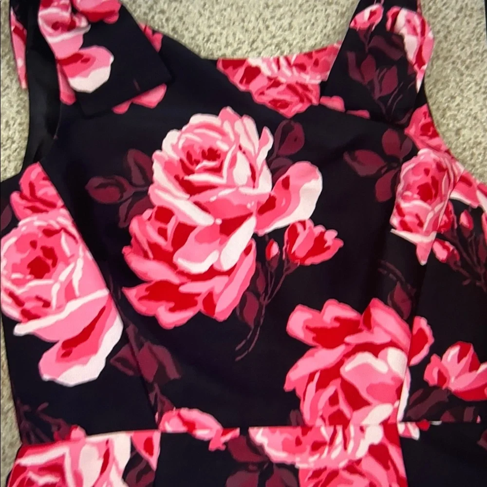 NWT Kate Spade “Rosa” A-Line Dress, 0